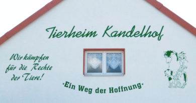 Tierheim Kandelhof Eingang