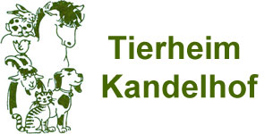(c) Tierheim-kandelhof.de