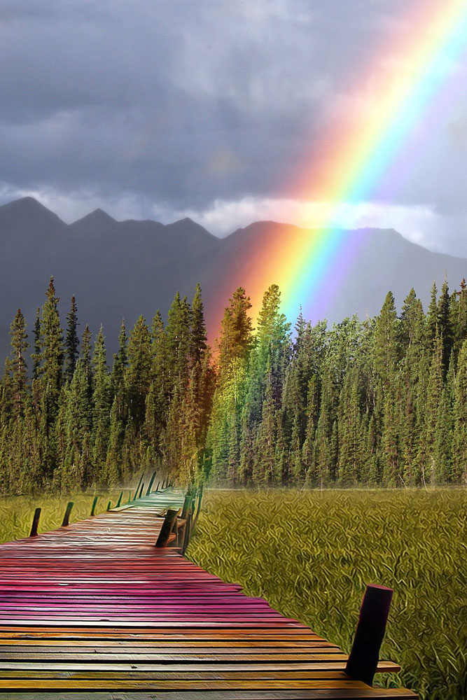 Die Regenbogenbrücke Tierheim Kandelhof