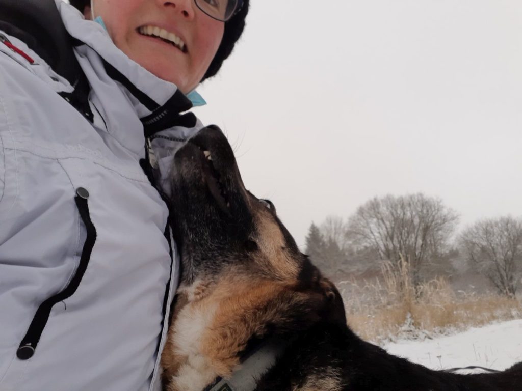 Rex, Mischling spielt im Schnee mit Frau