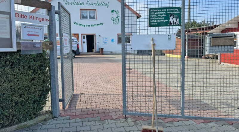 Arbeitseinsatz – Frühjahrsputz im Außengelände!!